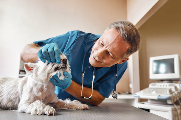 Best Emergency Dental Extractions in Hockinson, WA