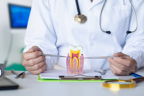 Best Mobile Emergency Dentist in Hockinson, WA